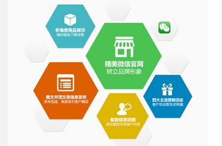 圈圈網(wǎng)絡(luò)公司微伙伴產(chǎn)品招商正火爆進(jìn)行中，開啟網(wǎng)絡(luò)技術(shù)開發(fā)新篇章