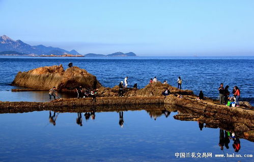 碧海藍天 心靈的永恒回響